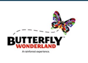 Breakfast Joynt and Butterfly Wonderland